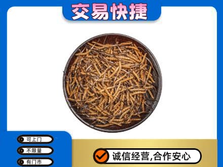 昌都高价回收散虫草